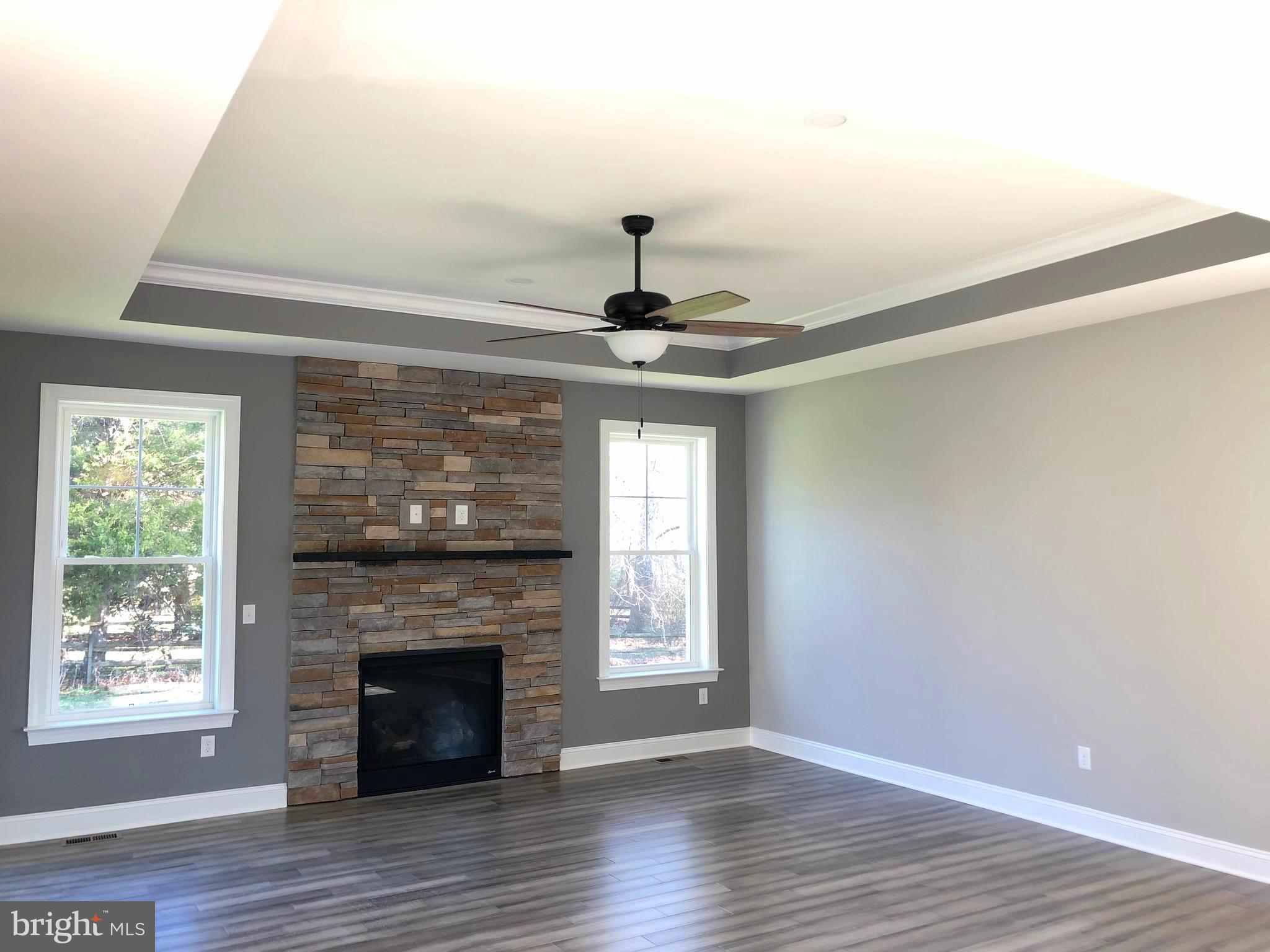1902 Porter Road Bear, DE 19701 - Photo 11 of 28 View of family room with tray ceiling