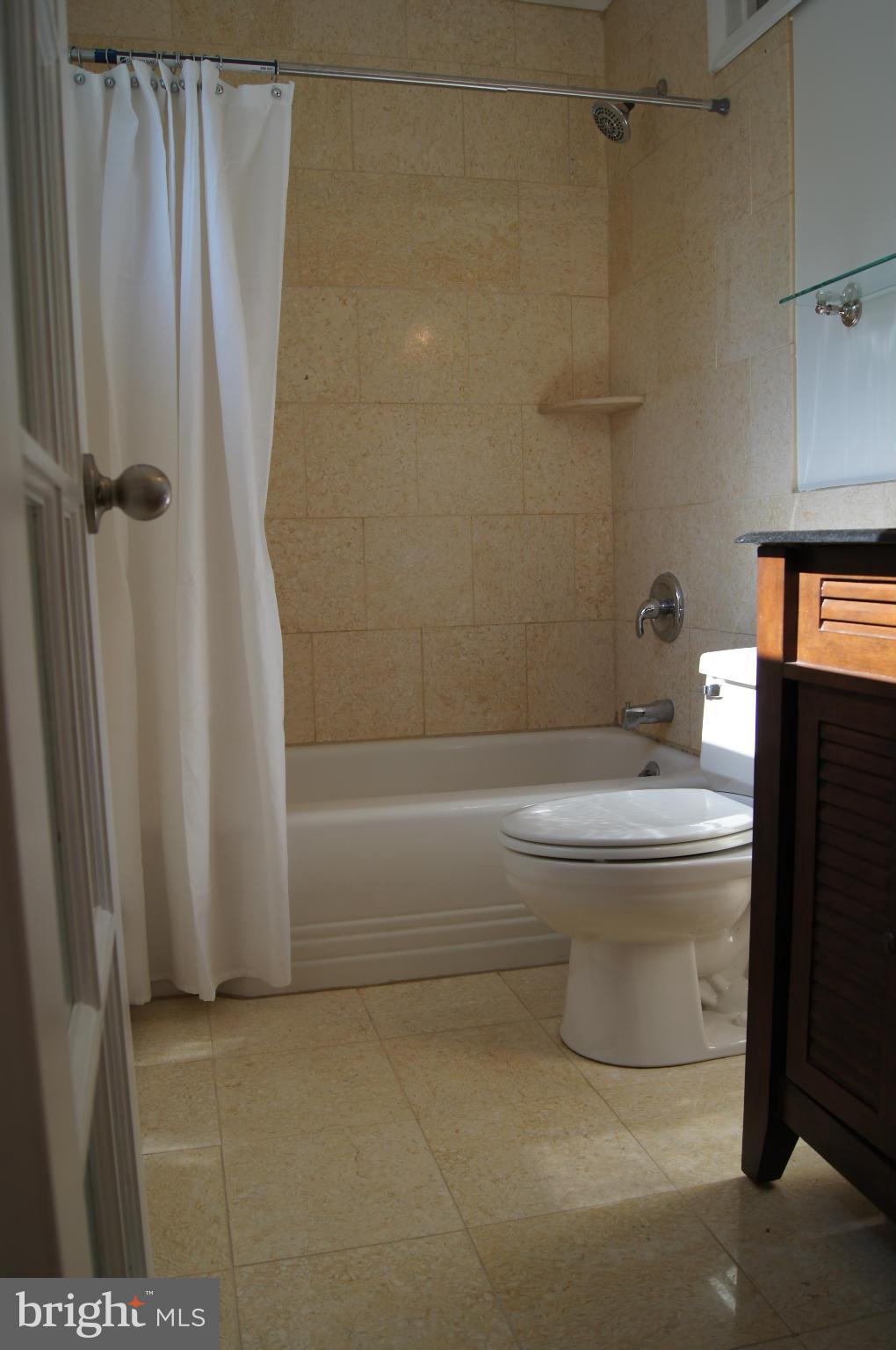 906 Rappaix Court Baltimore, MD 21286 - Photo 22 of 29 Renovated master bath with tub.