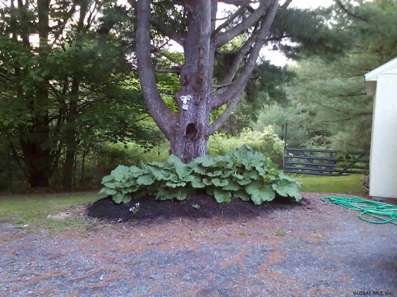 102 Thomas Road Gansevoort, NY 12831 - Photo 36 of 36 Photo 36