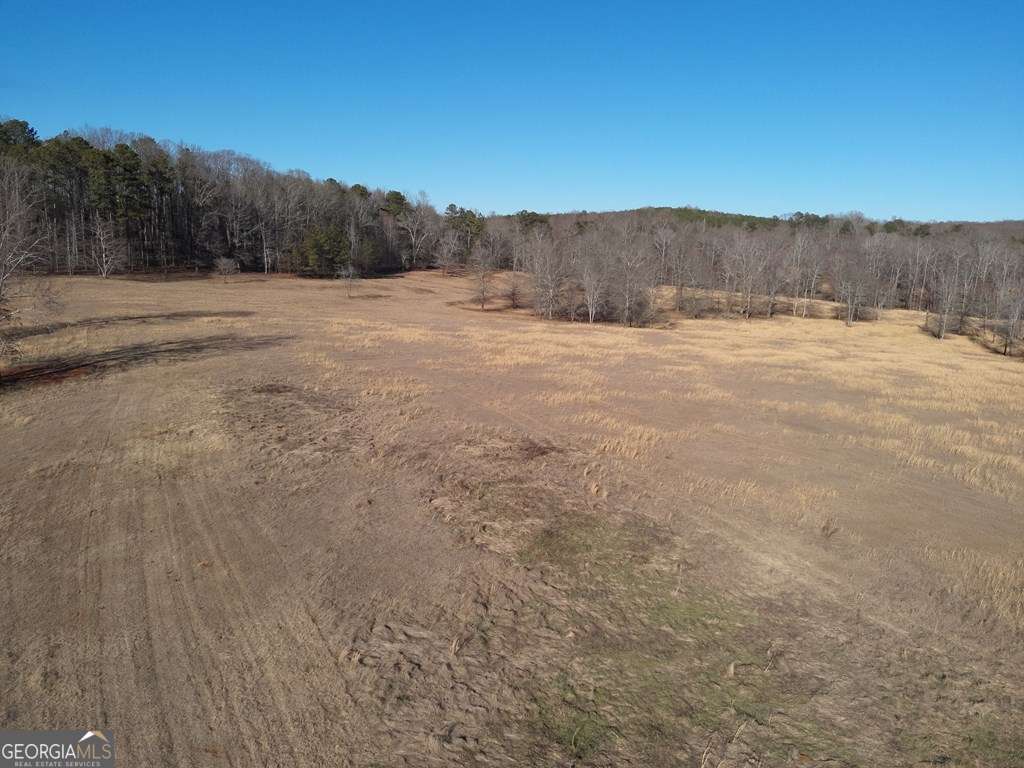 0 Happy Hollow Road Villa Rica, GA 30180 - Photo 2 of 7 a view of road with large trees