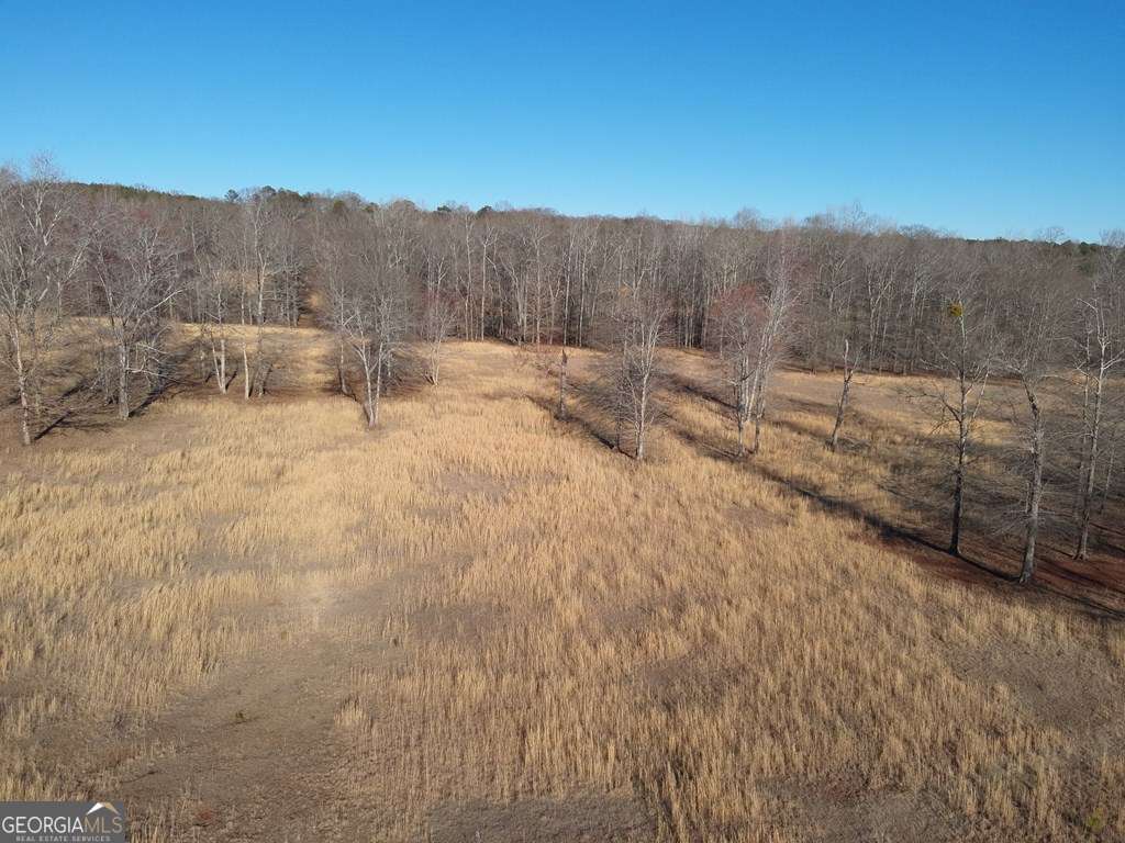 0 Happy Hollow Road Villa Rica, GA 30180 - Photo 7 of 7 a view of a backyard of a house