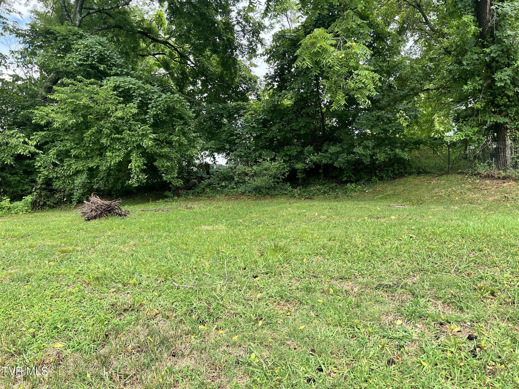 113 Sycamore Street Greeneville, TN 37745 - Photo 12 of 12 Backyard