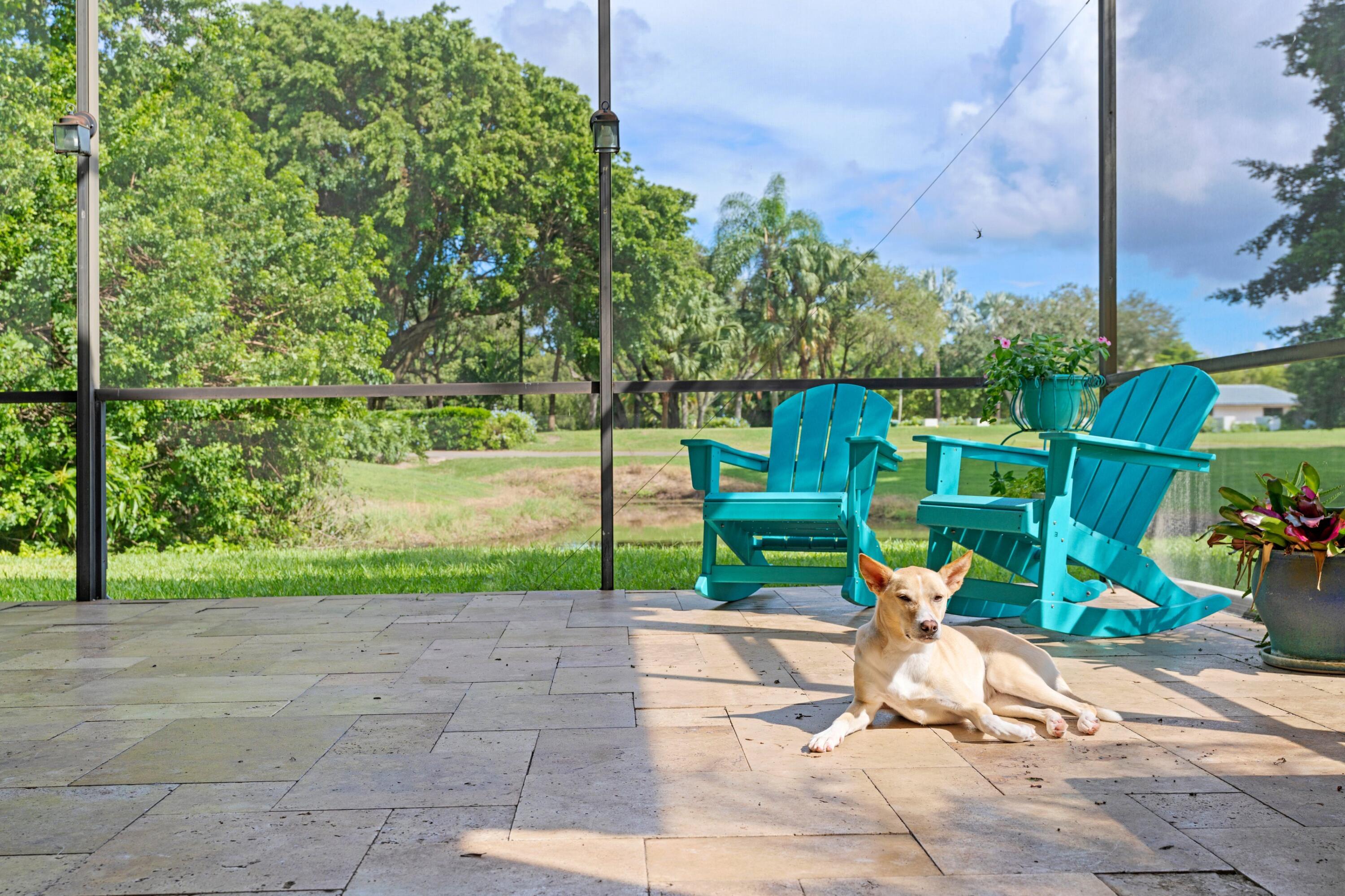 10238 Crosswind Road Boca Raton, FL 33498 - Photo 30 of 42 a view of a park with large trees and a pathway