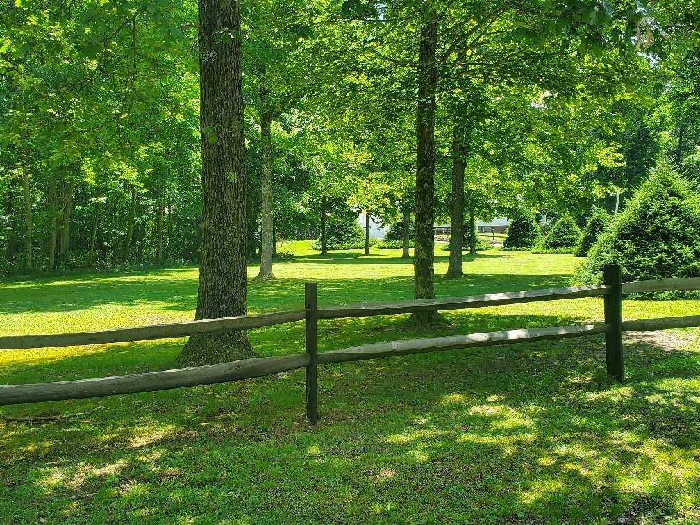 370 Braddock Road Farmington, PA 15437 - Photo 42 of 46 a view of a park with trees in the background