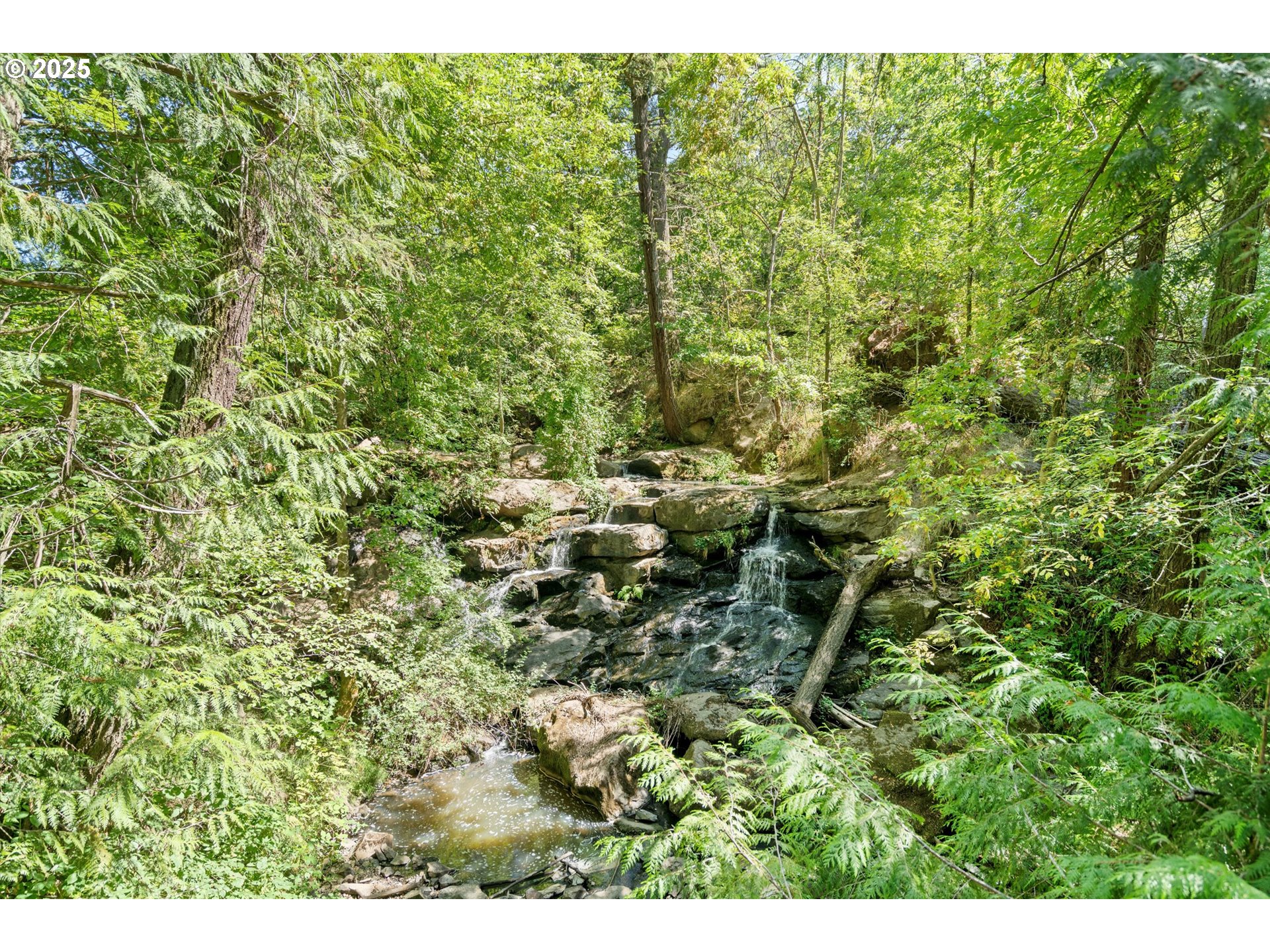 806 Northwest 118th Avenue, Unit 103 Portland, OR 97229 - Photo 36 of 46