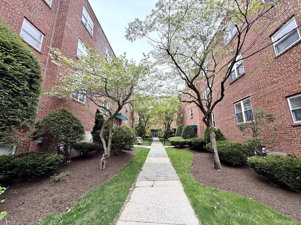 57 Colborne Road, Unit 3 Boston, MA 02135 - Photo 12 of 12