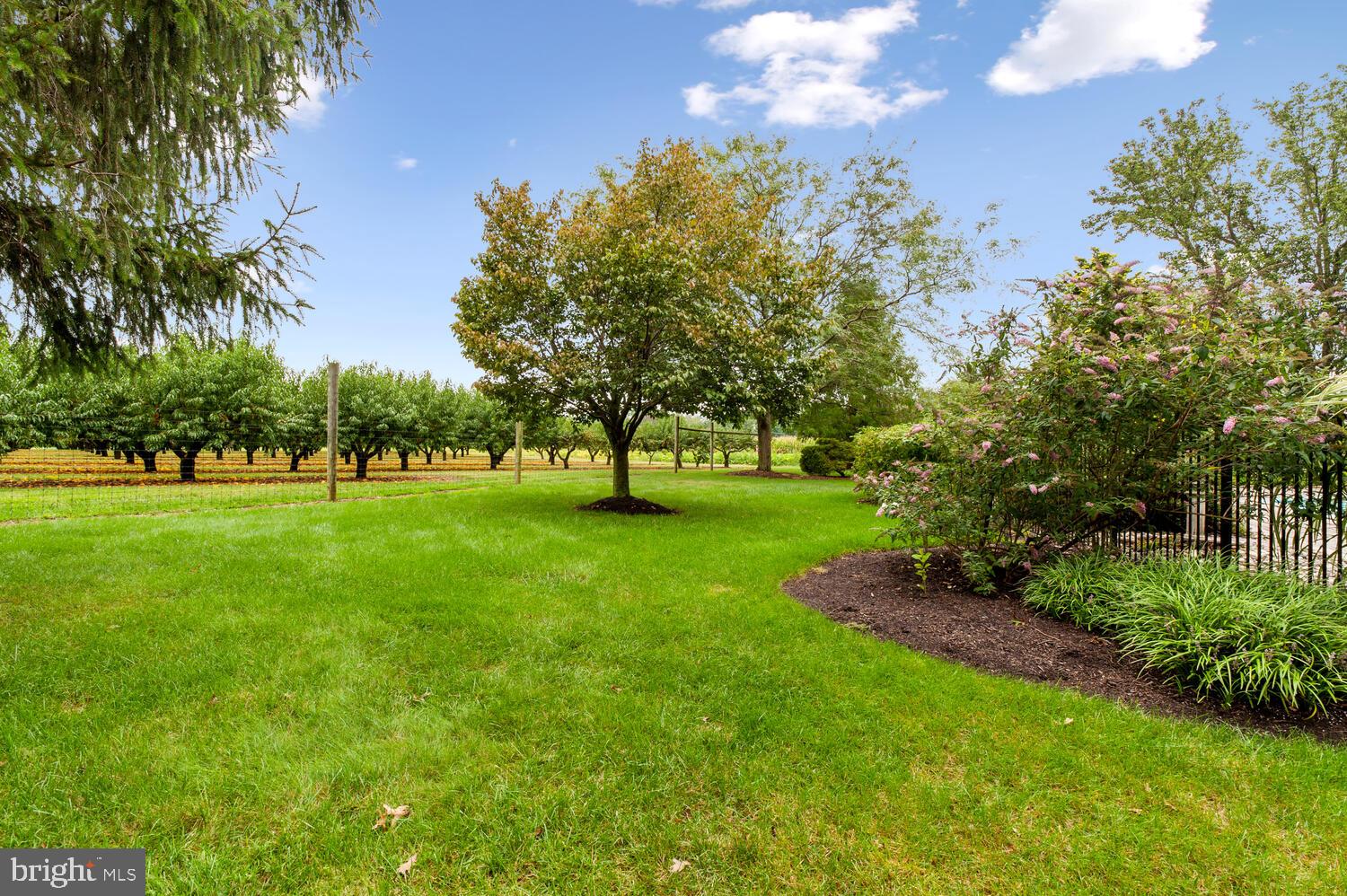 144 Oak Creek Road Hightstown, NJ 08520 - Photo 28 of 32 Private Backyard
