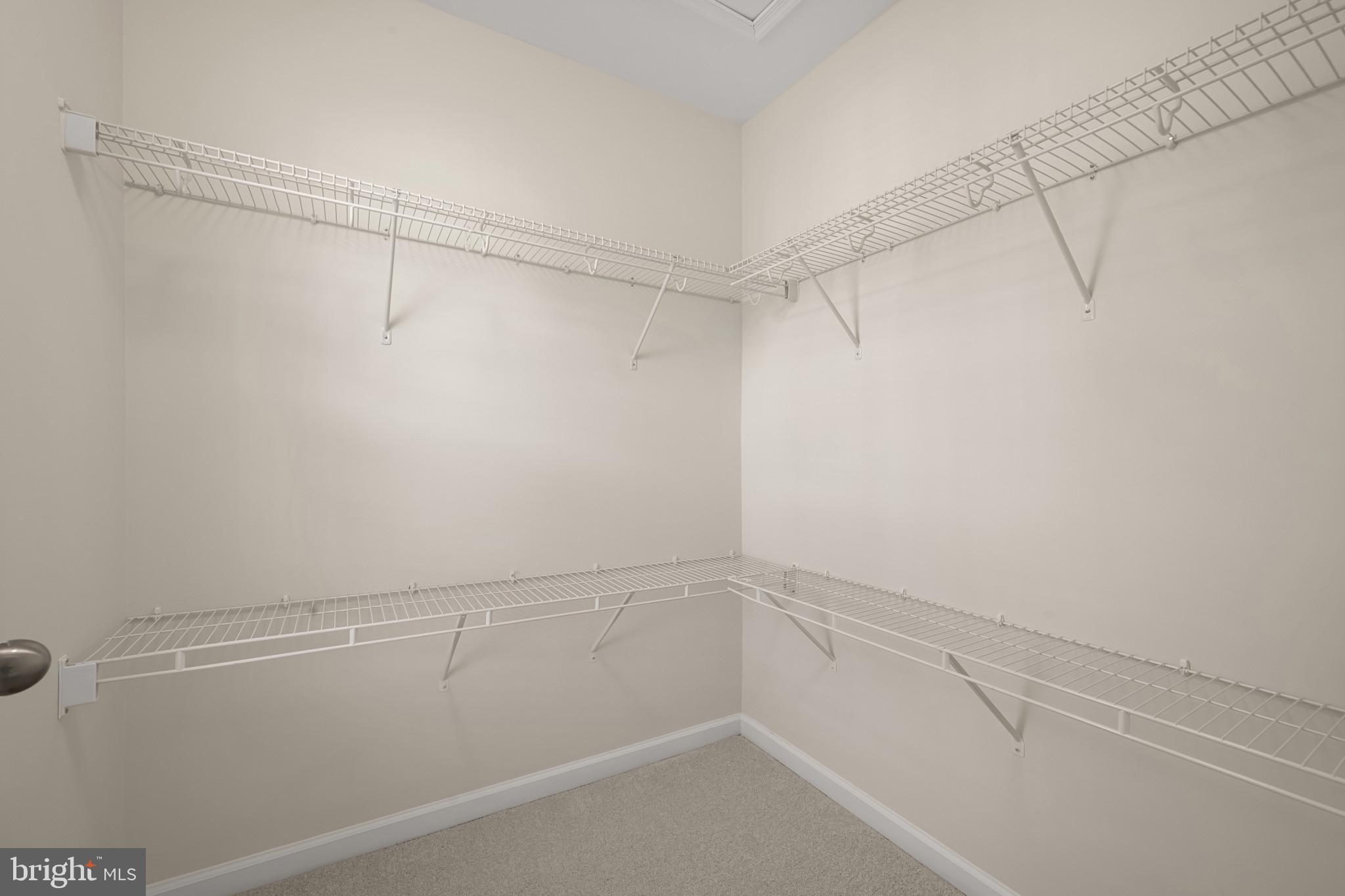 7997 Alchemy Way Elkridge, MD 21075 - Photo 35 of 43 Walk-In Closet