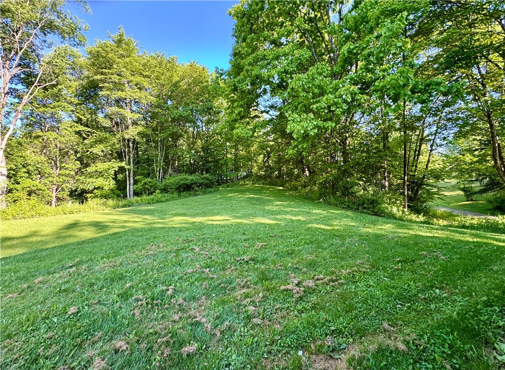 107 Steve Road Wells Bridge, NY 13859 - Photo 27 of 28