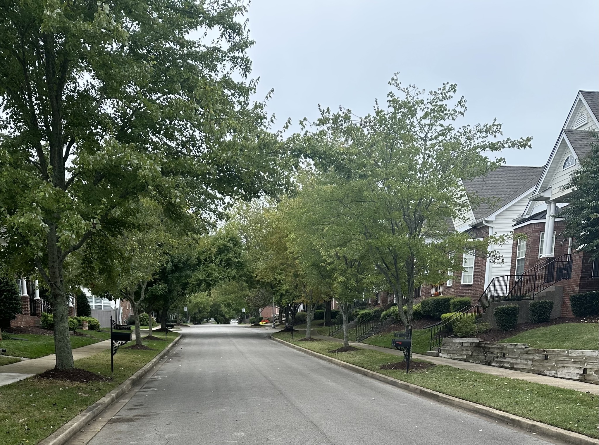 1509 Decatur Circle Franklin, TN 37067 - Photo 38 of 40 a view of a park that has a tree on the side of it