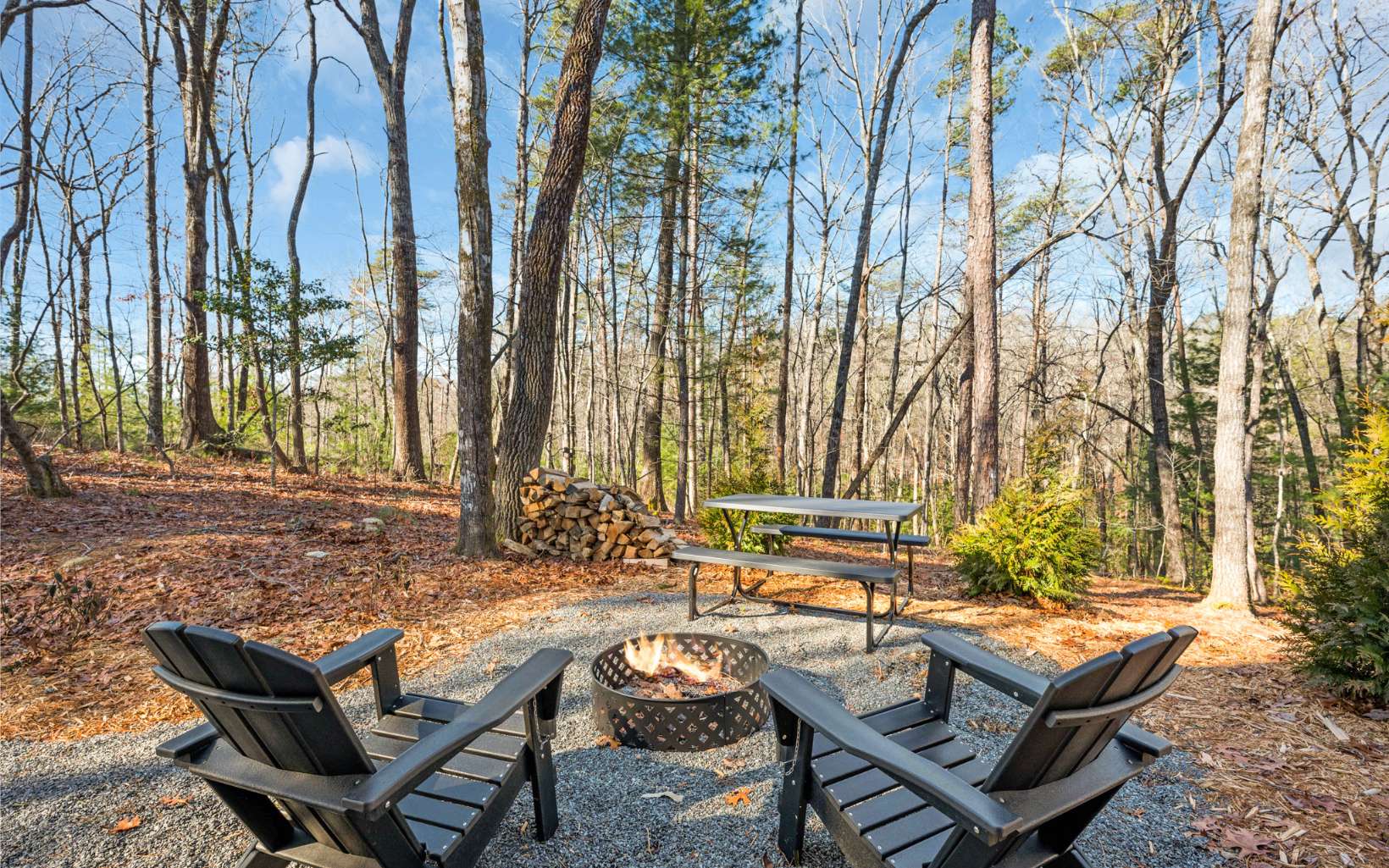 2 Delta Way Blue Ridge, GA 30513 - Photo 16 of 19 Additional View