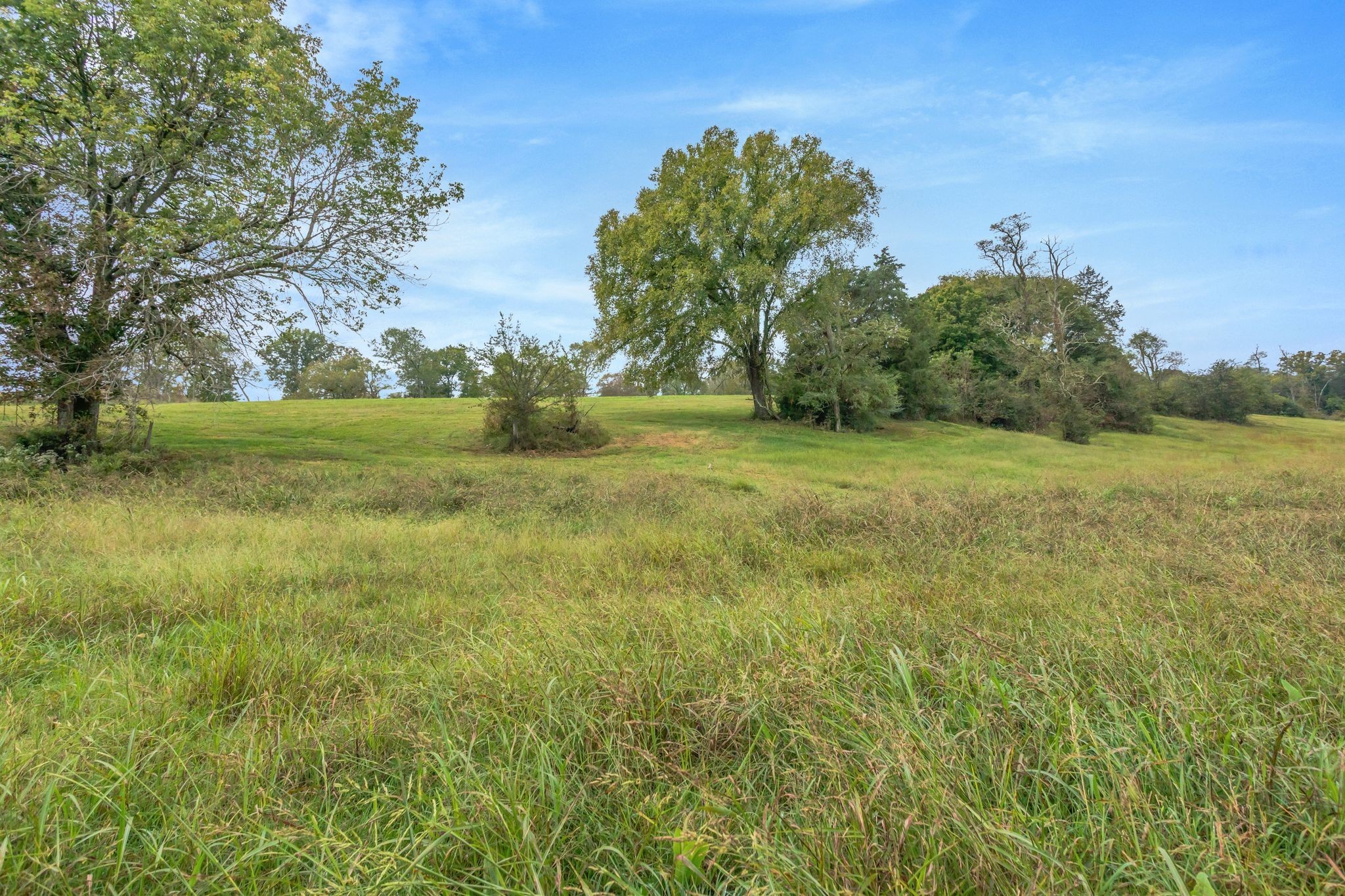 1597 John Sharp Road Spring Hill, TN 37174 - Photo 57 of 58 Gallery Image 57