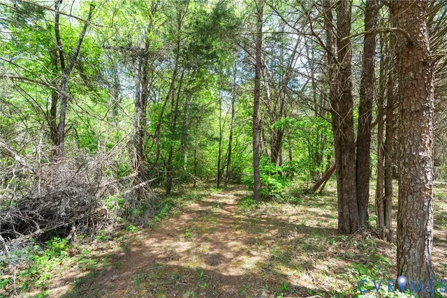 a big yard with lots of green space and trees