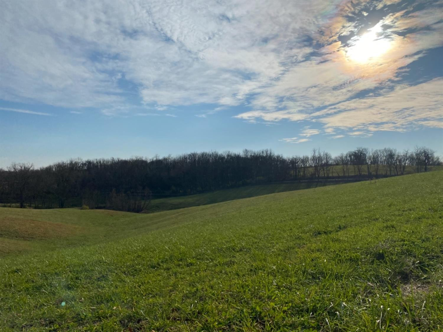 591 Rockridge Road Paris, KY 40361 - Photo 12 of 61 Photo 12