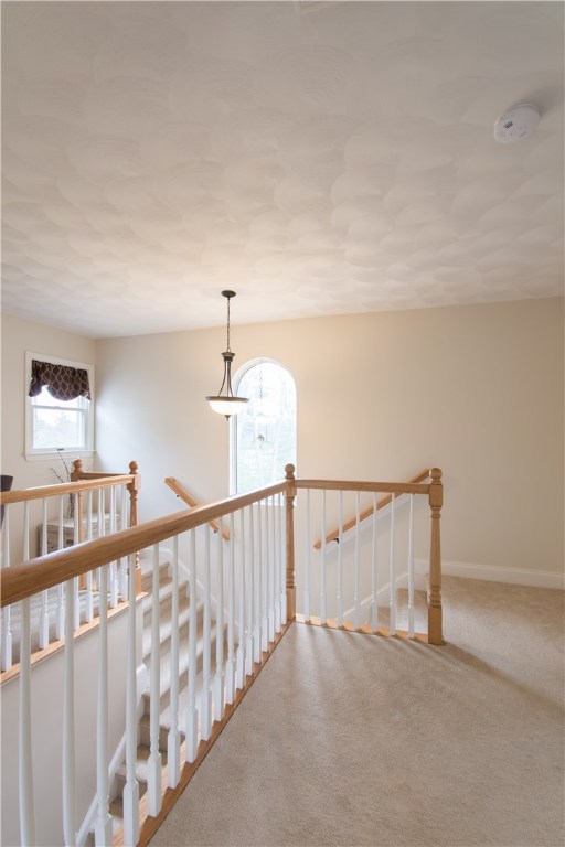 21 Alexandre Road Coventry, RI 02816 - Photo 18 of 39 Gallery Image 18