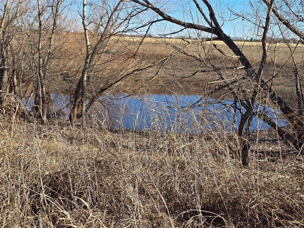 9999 Fm 3133 Road Van Alstyne, TX 75495 - Photo 5 of 8 a backyard of a house with lots of green space