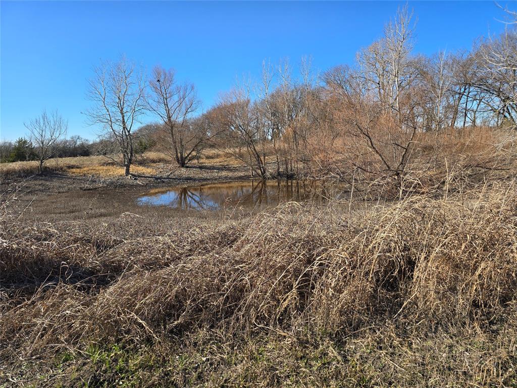 9999 Fm 3133 Road Van Alstyne, TX 75495 - Photo 7 of 8 a view of a yard with wooden fence