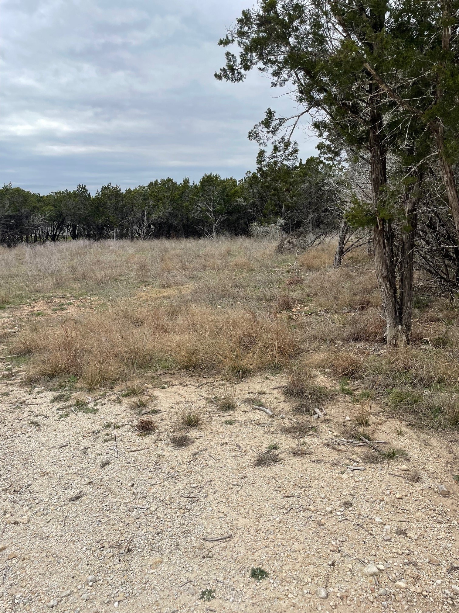 4 Cedar Circle Wimberley, TX 78676 - Photo 2 of 4