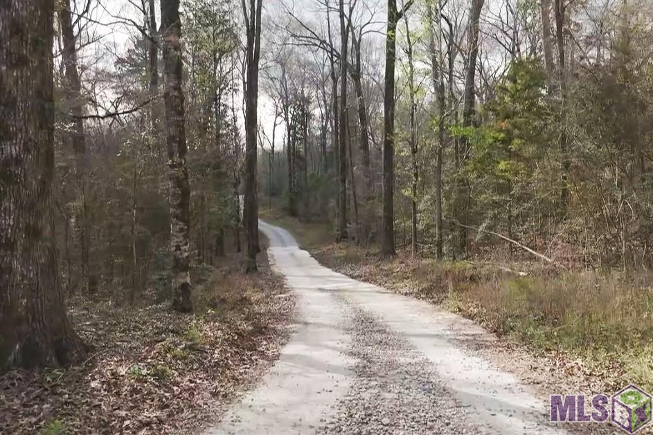 8797 Ritchie Ln Street St. Francisville, LA 70775 - Photo 21 of 28