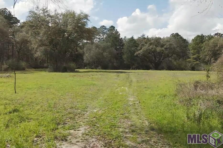 8797 Ritchie Ln Street St. Francisville, LA 70775 - Photo 22 of 28