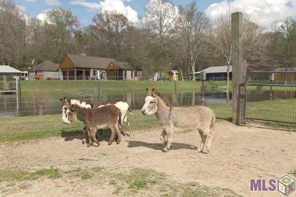 8797 Ritchie Ln Street St. Francisville, LA 70775 - Photo 44 of 51