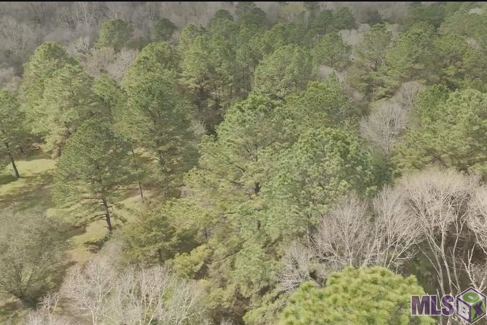 8797 Ritchie Ln Street St. Francisville, LA 70775 - Photo 49 of 51