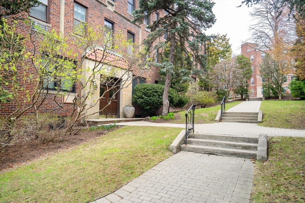321 Tappan Street, Unit 3 Brookline, MA 02445 - Photo 37 of 39 a view of a park with large trees