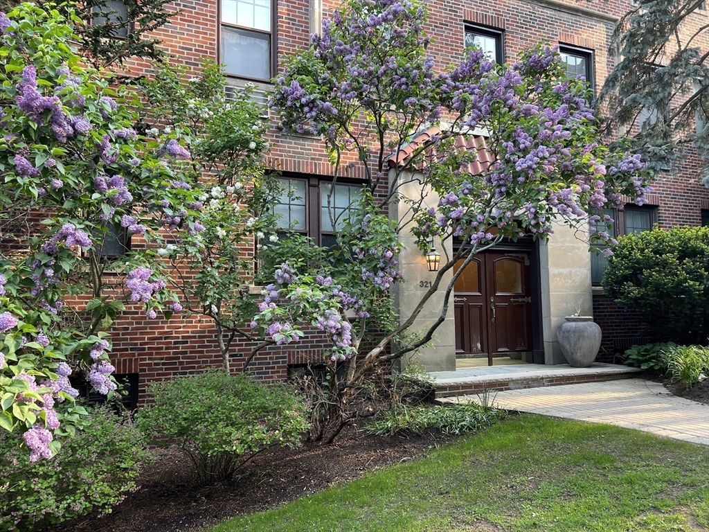 321 Tappan Street, Unit 3 Brookline, MA 02445 - Photo 38 of 39 a front view of a house with a garden