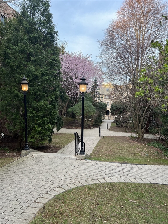 321 Tappan Street, Unit 3 Brookline, MA 02445 - Photo 39 of 39 a view of a park with basketball court