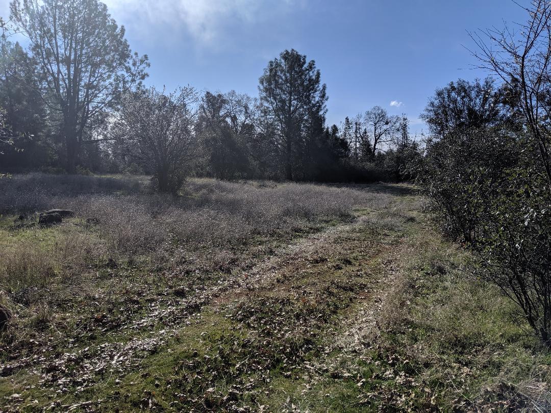 21665 Manton School Road Manton, CA 96059 - Photo 23 of 26 m2