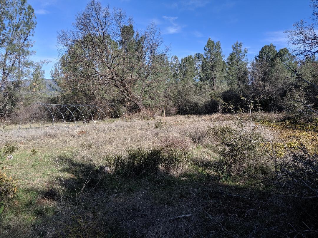 21665 Manton School Road Manton, CA 96059 - Photo 24 of 26 M5