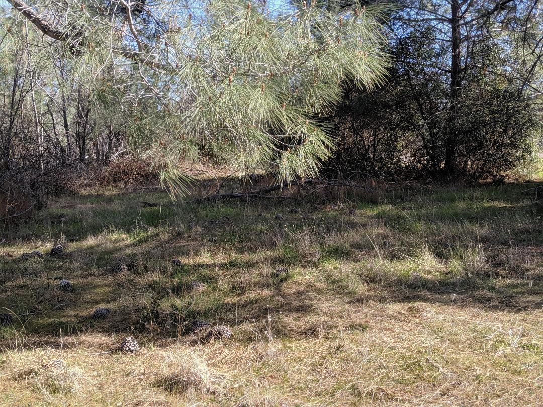 21665 Manton School Road Manton, CA 96059 - Photo 25 of 26 M6