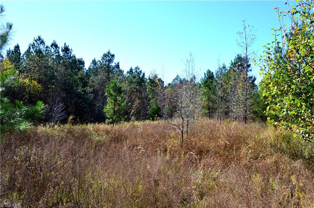 0 Prospect Church Road Mebane, NC 27302 - Photo 11 of 27 Gallery Image 11