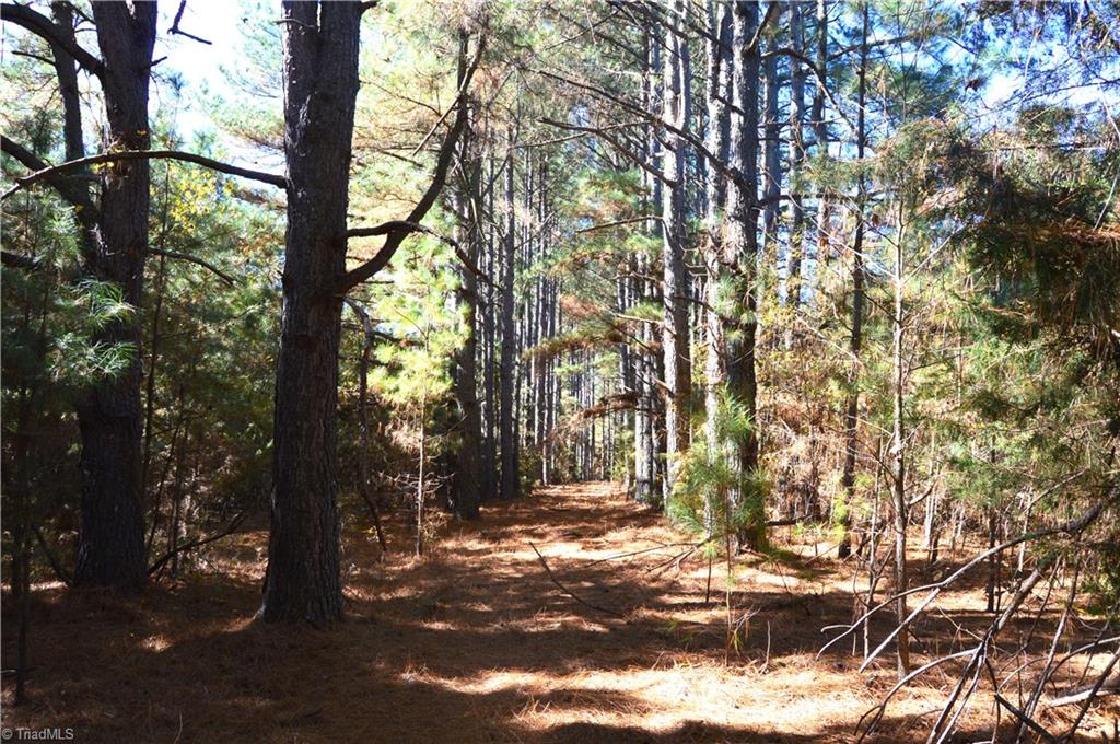 0 Prospect Church Road Mebane, NC 27302 - Photo 12 of 27 Gallery Image 12