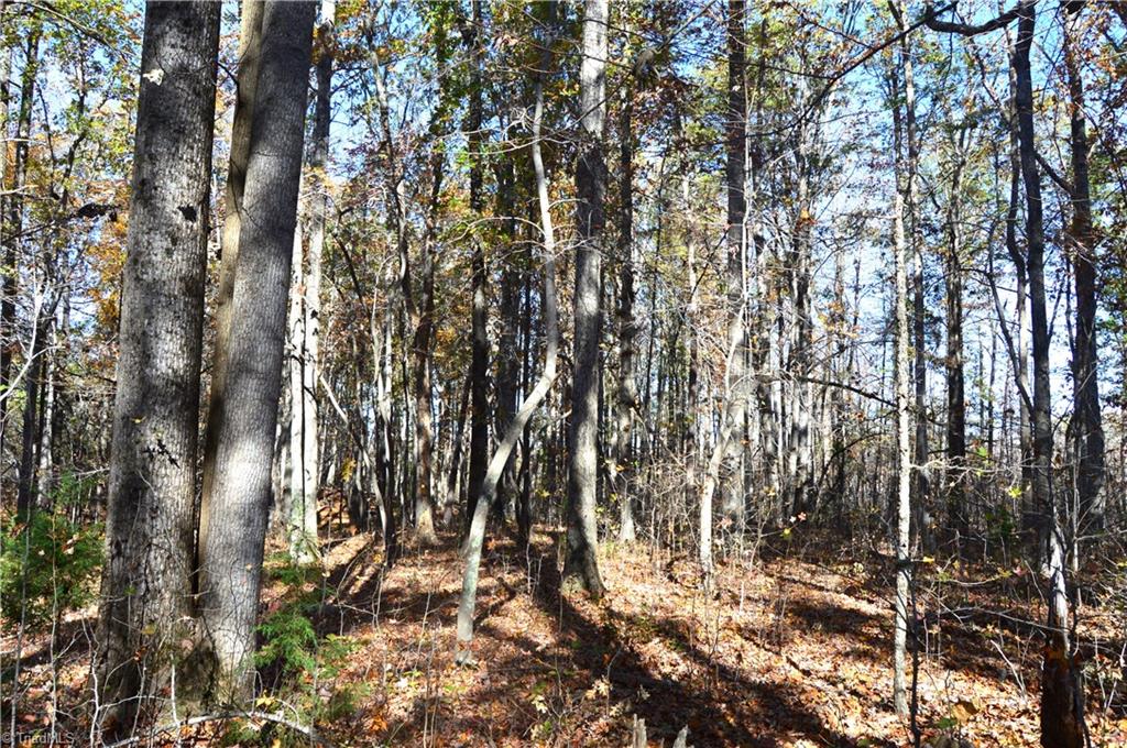 0 Prospect Church Road Mebane, NC 27302 - Photo 8 of 27 Gallery Image 8