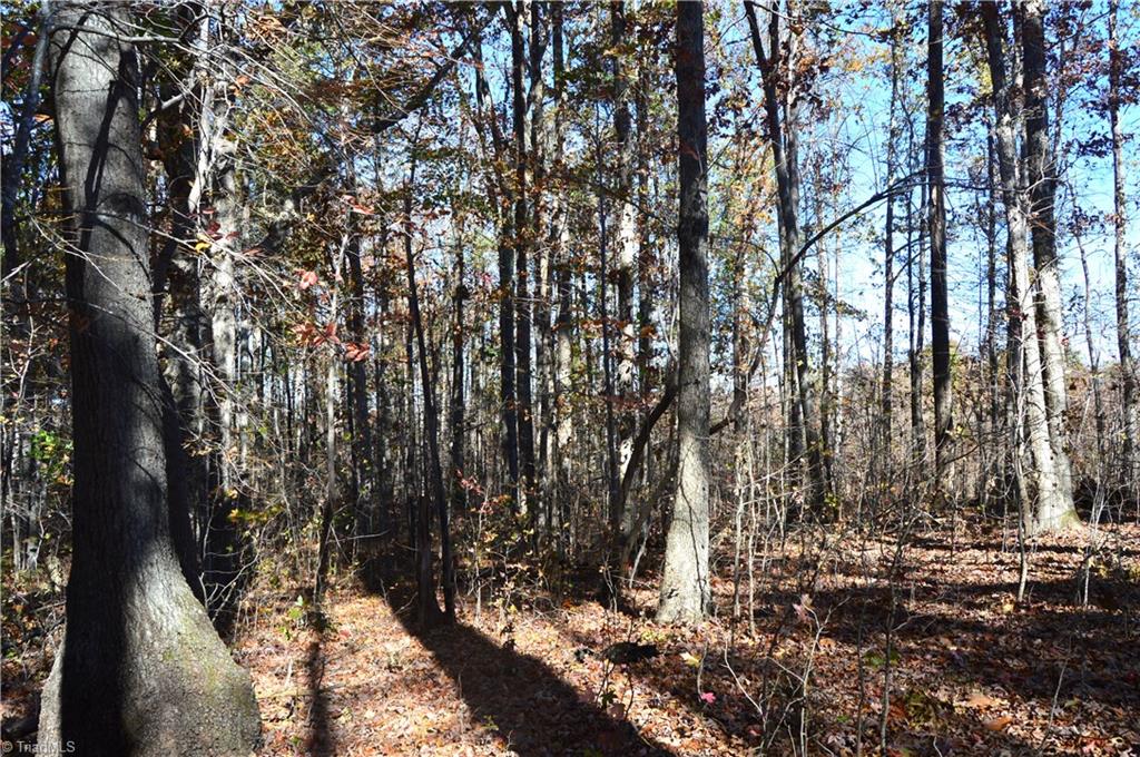 0 Prospect Church Road Mebane, NC 27302 - Photo 9 of 27 Gallery Image 9