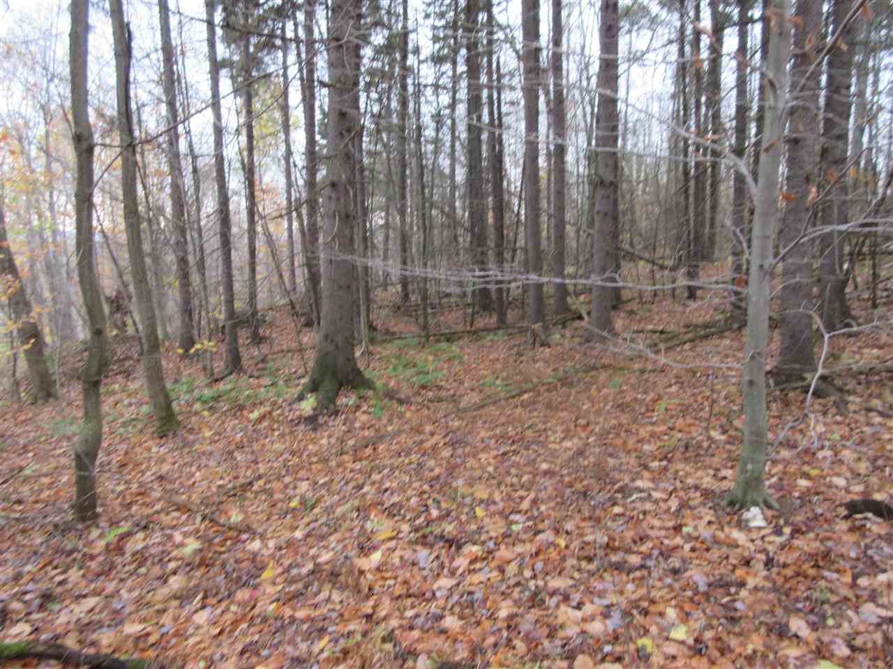 0 Downs Road Underhill, VT 05489 - Photo 3 of 11 Gallery Image 3