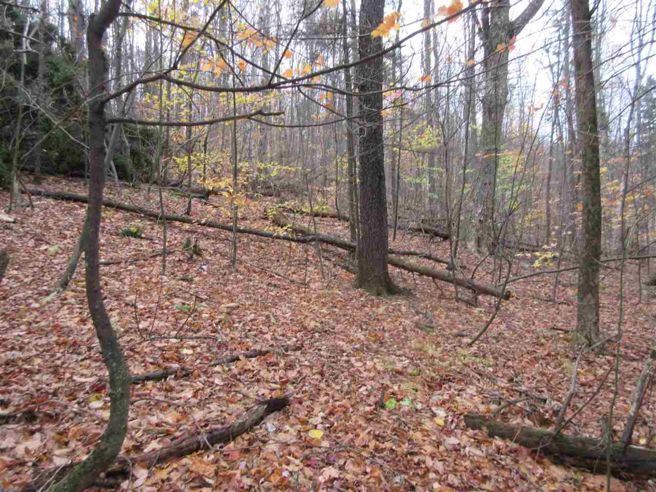 0 Downs Road Underhill, VT 05489 - Photo 4 of 11 Gallery Image 4