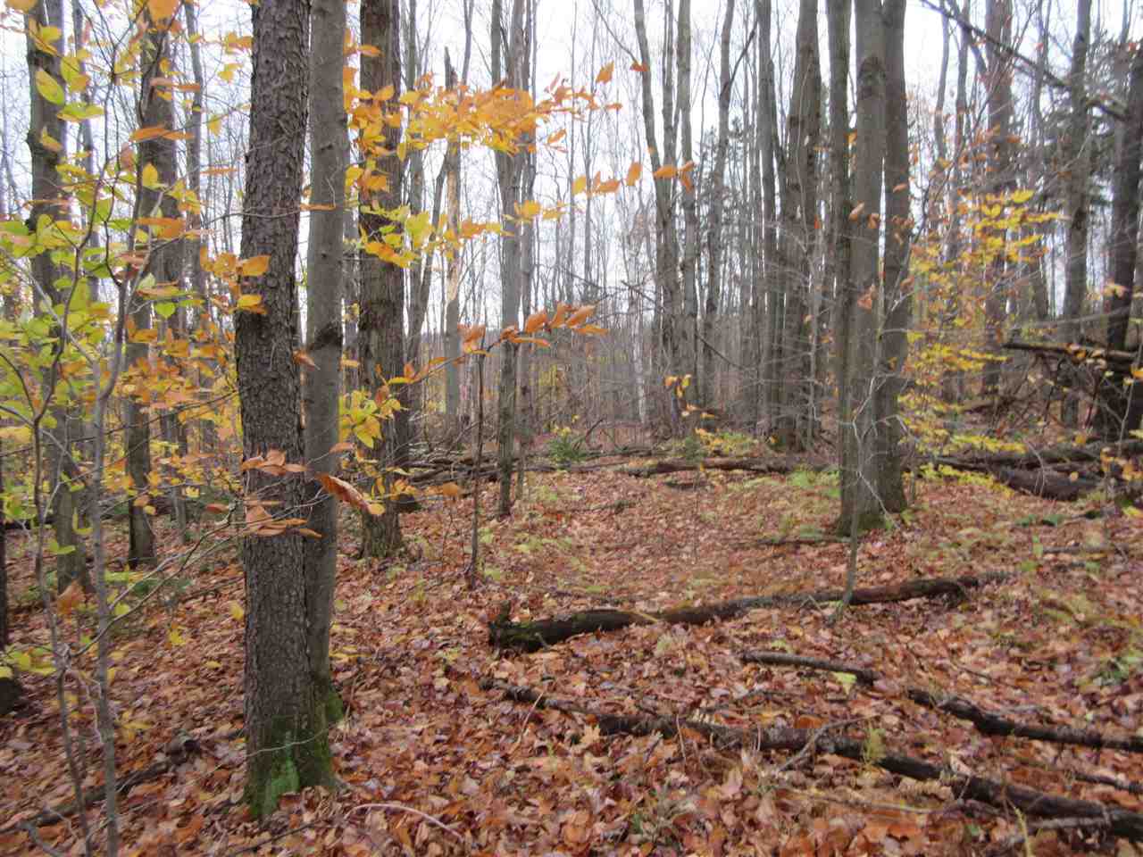 0 Downs Road Underhill, VT 05489 - Photo 6 of 11 Gallery Image 6