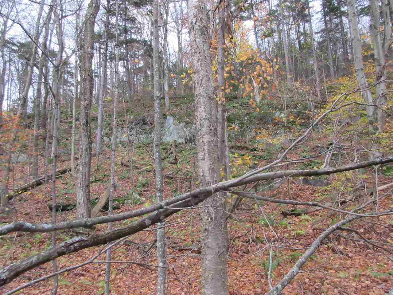 0 Downs Road Underhill, VT 05489 - Photo 7 of 11 Gallery Image 7