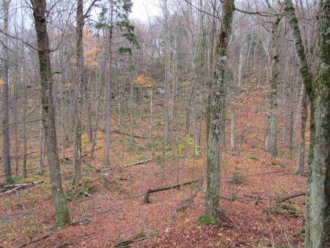 0 Downs Road Underhill, VT 05489 - Photo 8 of 11 Gallery Image 8