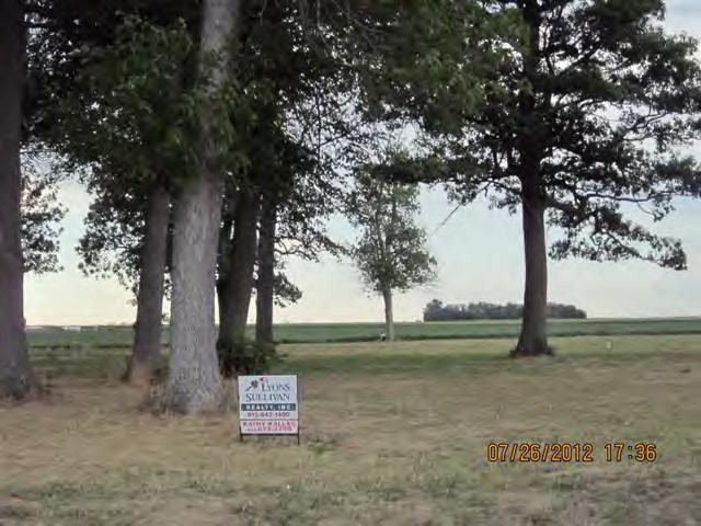 a view of a park with large trees
