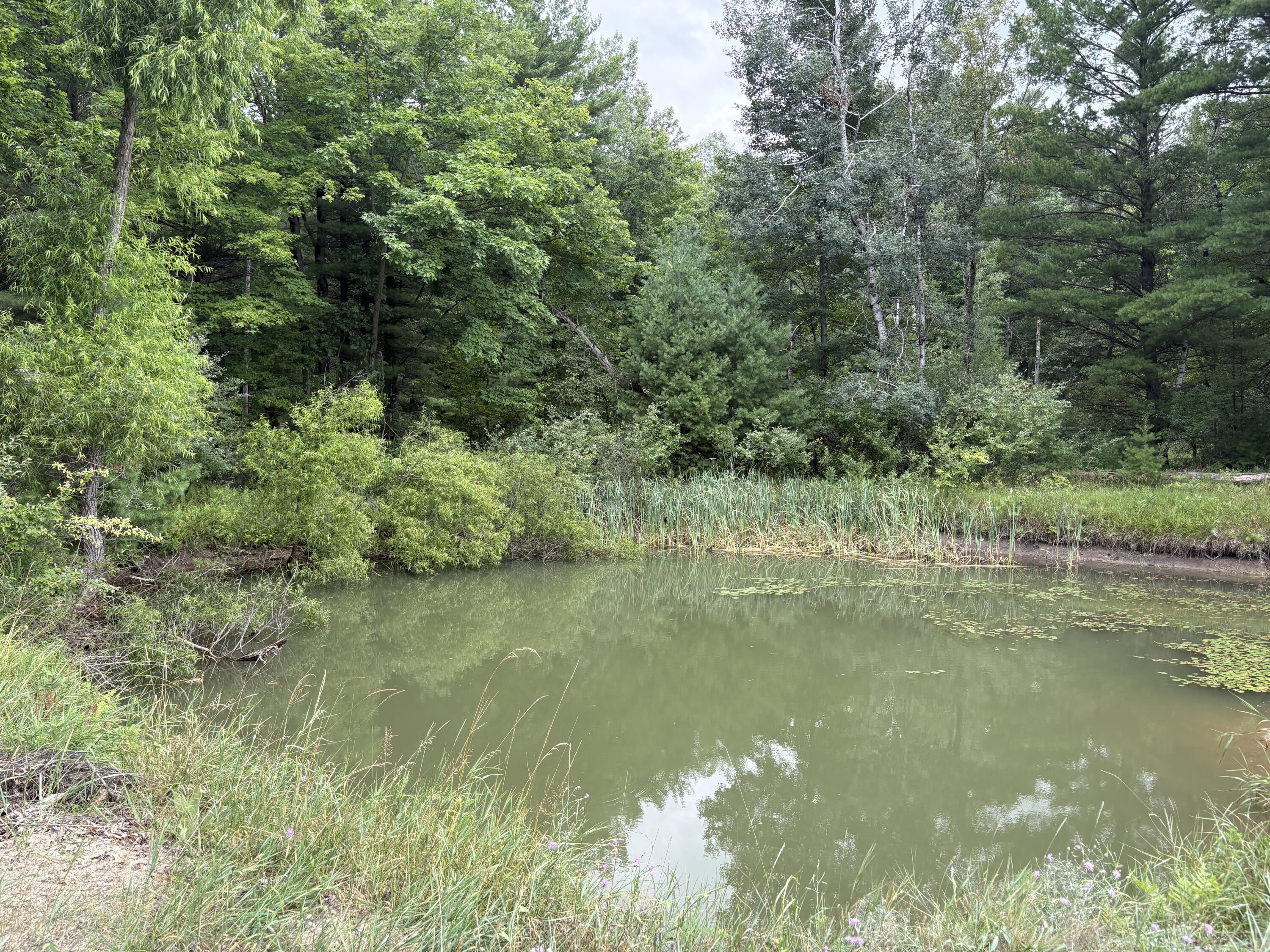 5 5 Mile Road Morley, MI 49336 - Photo 2 of 169 IMG_8081