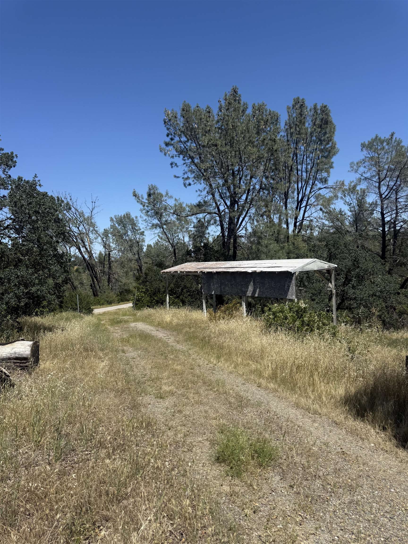 15525 Oakridge Road Corning, CA 96021 - Photo 2 of 7