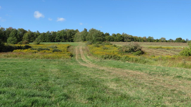 0 South Greenbush Road Erin, NY 14838 - Photo 1 of 1 Gallery Image 1