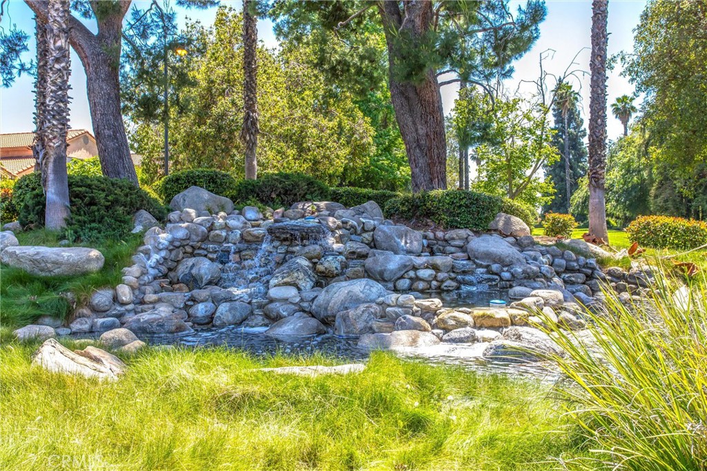 1125 Vía Nice Redlands, CA 92374 - Photo 49 of 50 a view of a garden with a tree