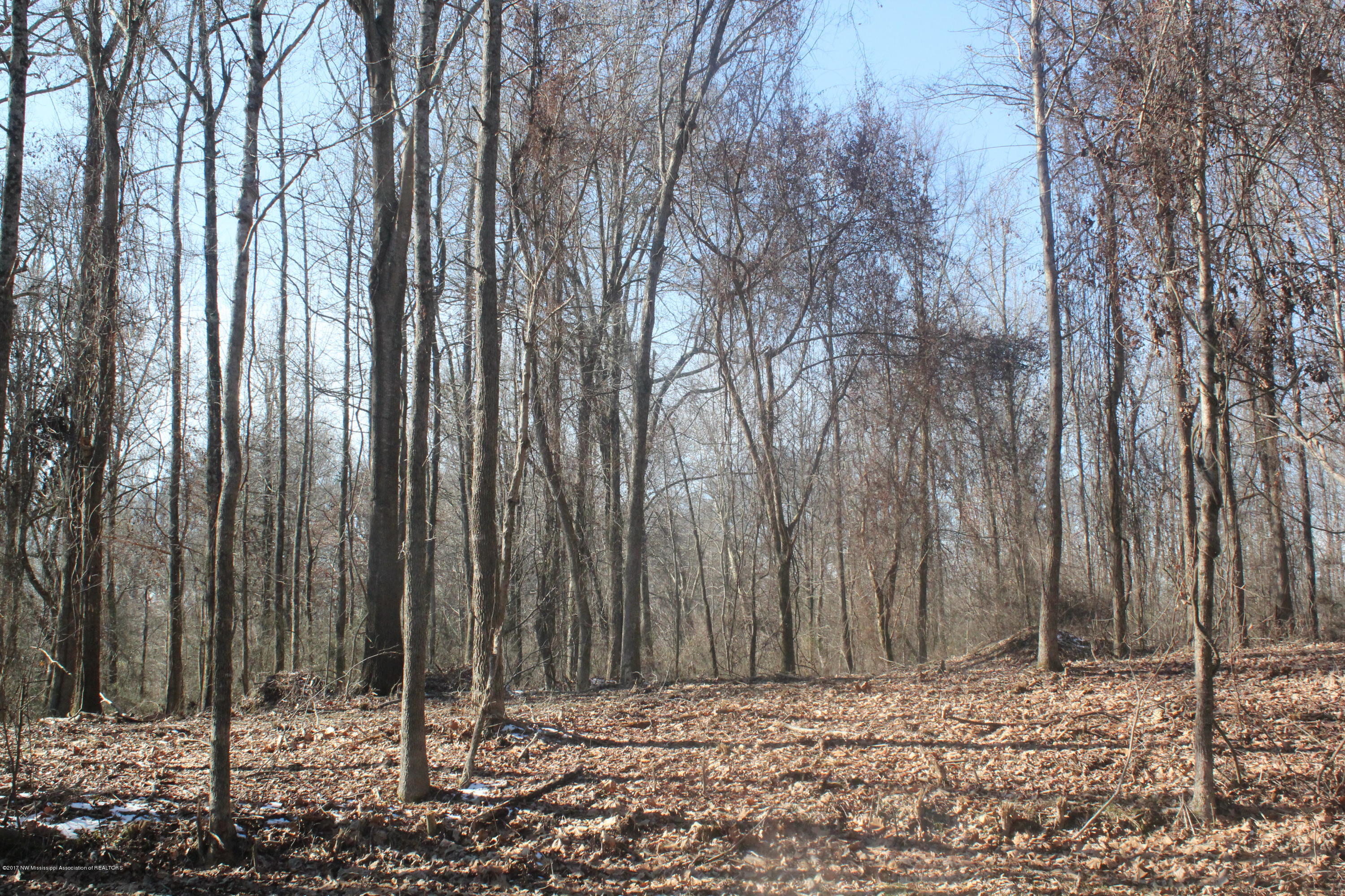 2 Tulane Rd Lake Nesbit, MS 38651 - Photo 1 of 31 Primary Photo