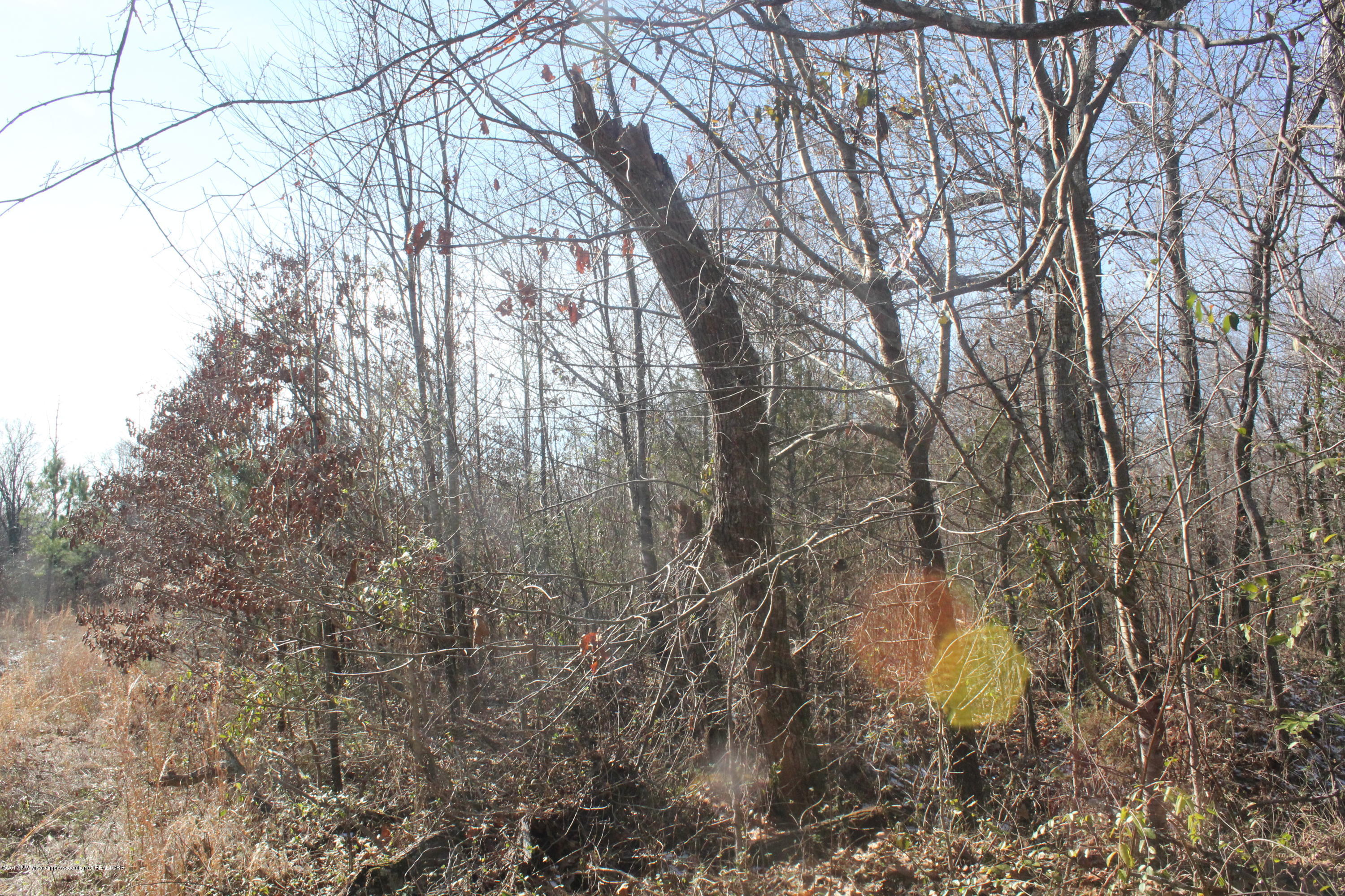 2 Tulane Rd Lake Nesbit, MS 38651 - Photo 11 of 31 016