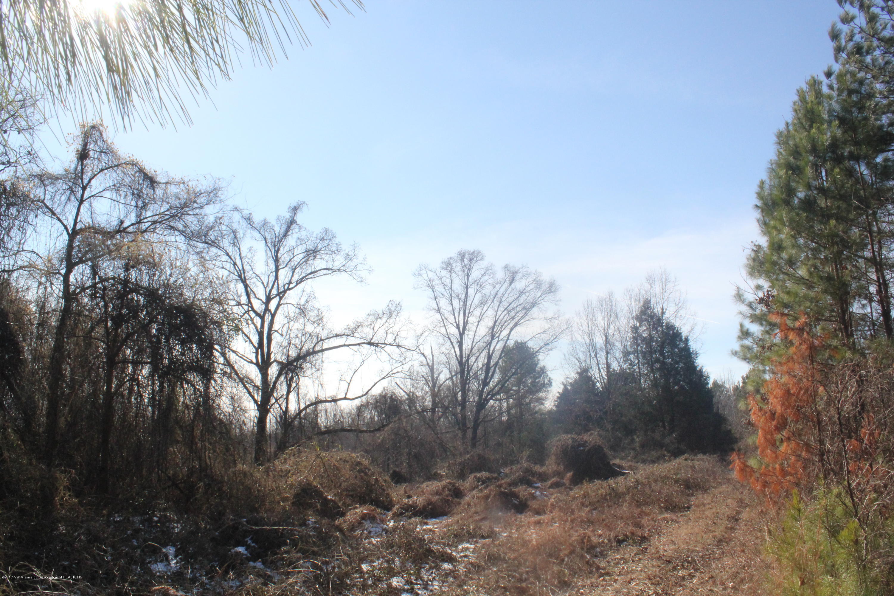 2 Tulane Rd Lake Nesbit, MS 38651 - Photo 7 of 31 009
