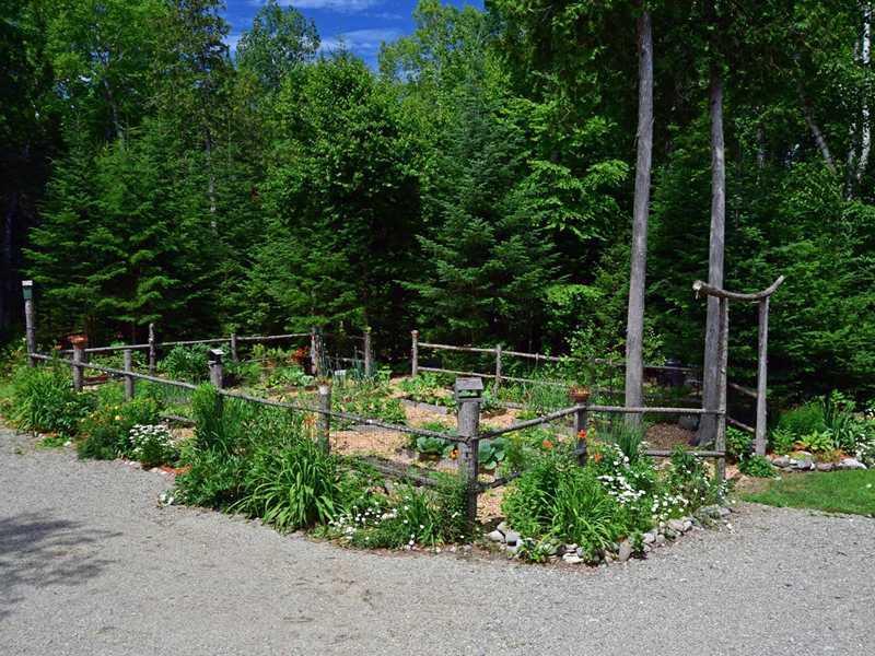 158 Tannery Brook Road Ellsworth, ME 04605 - Photo 10 of 35 Yard/Garden. Outstanding sun...